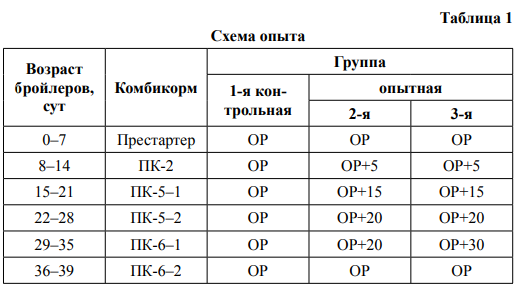 Ликбез по выращиванию бройлеров | Агропромышленный вестник